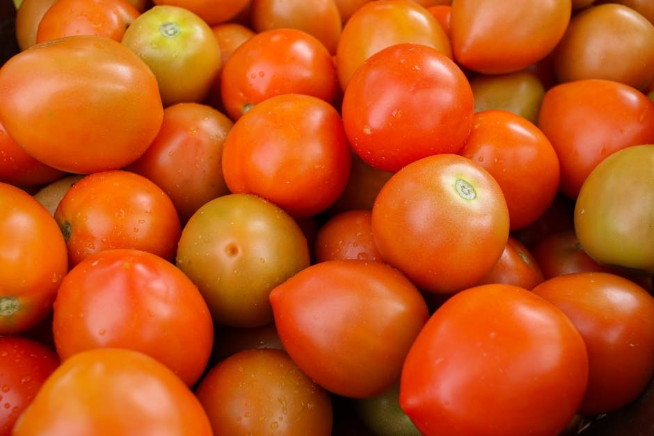 SEED_ASSET:pc-4301-pomodori-op-it02109876543-1-3.jpg