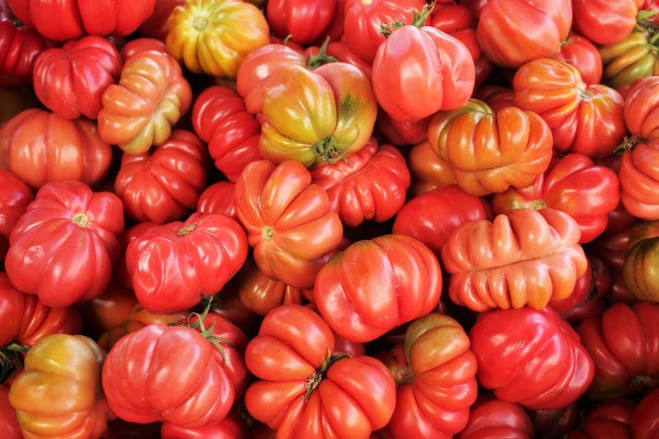 SEED_ASSET:pc-4301-pomodori-op-it02109876543-2-3.jpg