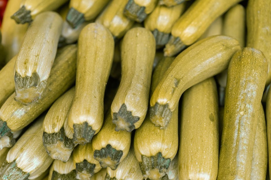 SEED_ASSET:pc-5351-zucchine-op-it01098765432-1-1.jpg