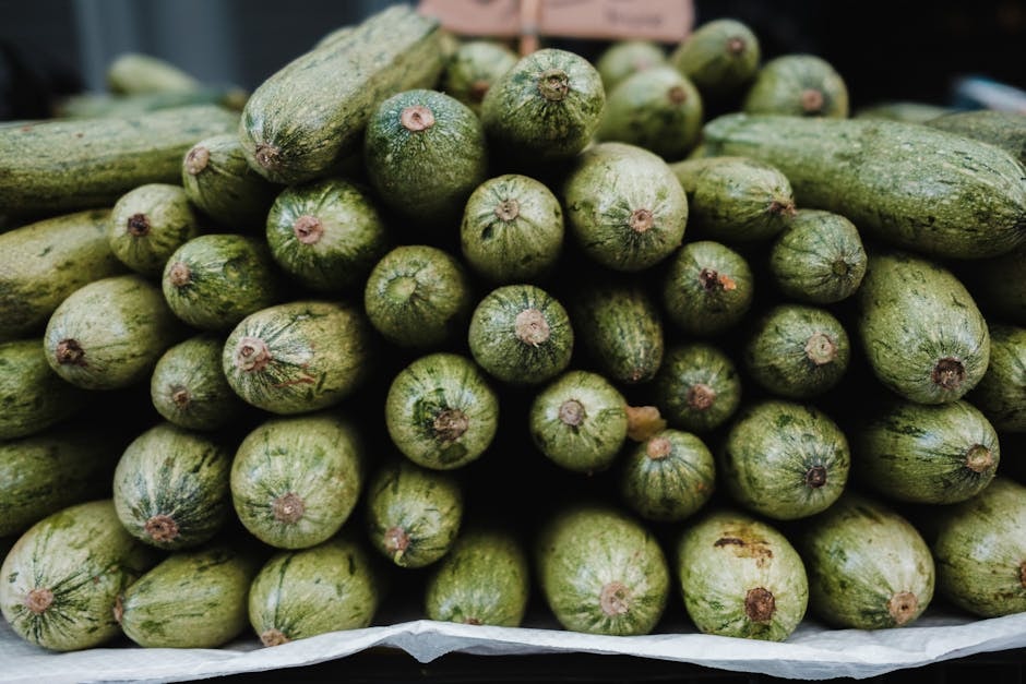 SEED_ASSET:pc-5351-zucchine-op-it01098765432-1-3.jpg