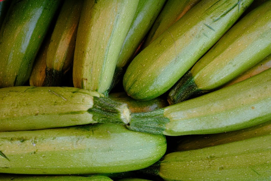 SEED_ASSET:pc-5351-zucchine-op-it01098765432-2-2.jpg
